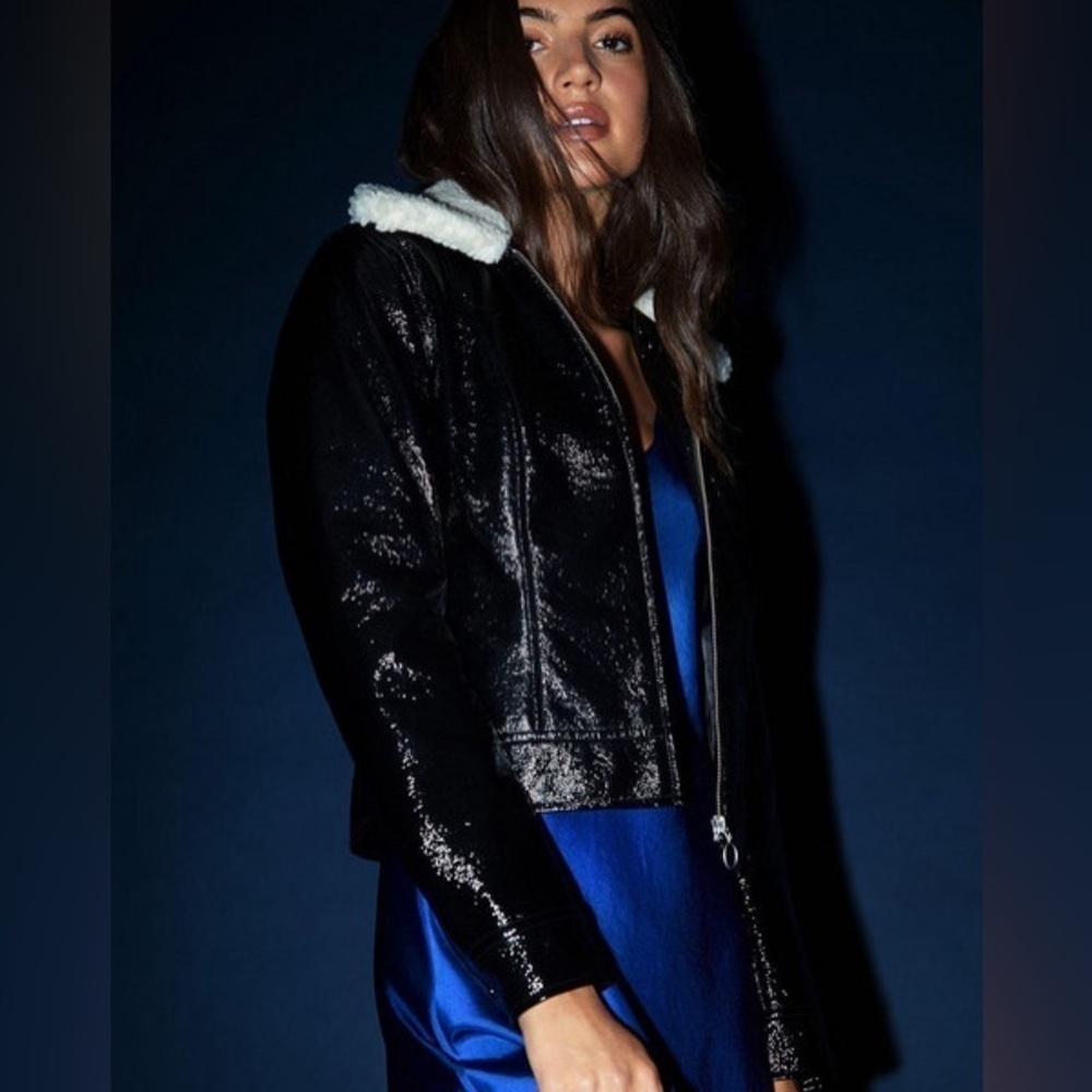 Aritzia Wilfred Tempest Jacket